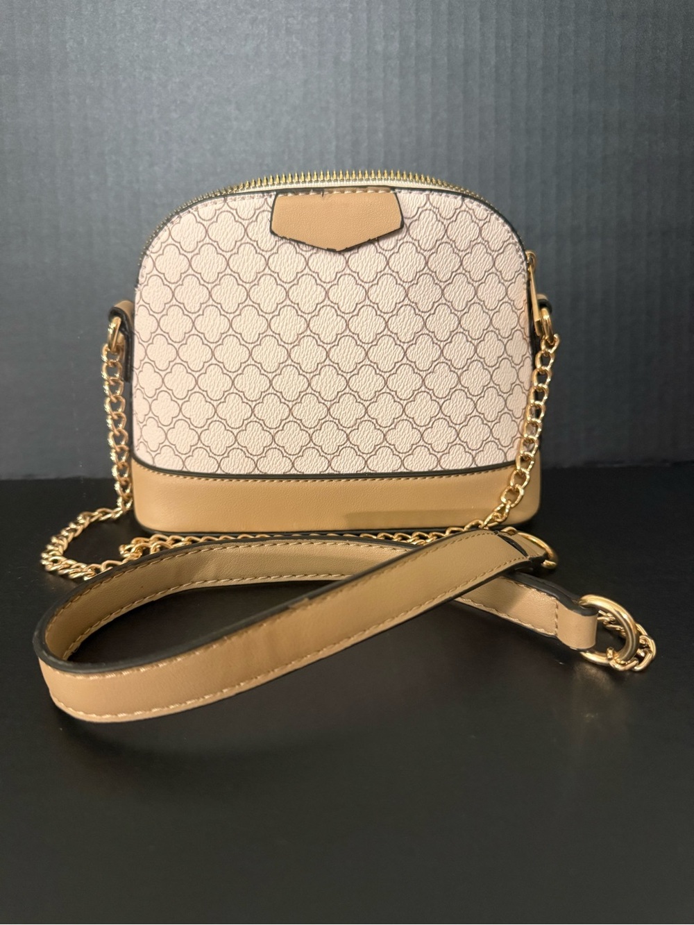 Crossbody Bag / Chain Handle